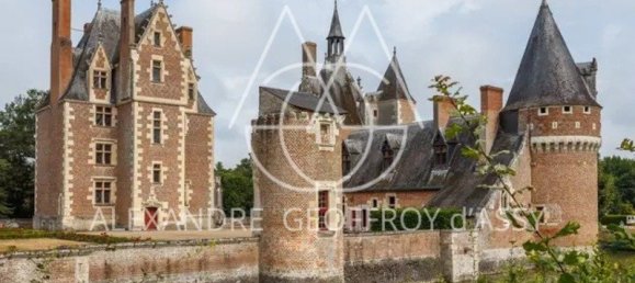 Castillos de 18 habitaciónes en Blois, France No. 215901 7