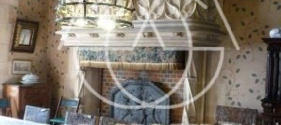 Castillos de 18 habitaciónes en Blois, France No. 215901 12