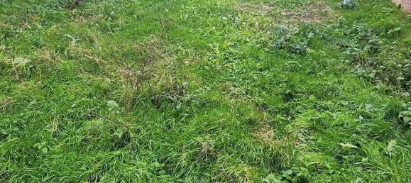 5 Schlafzimmer Villa in Agliana, Italy, Nr. 170910 9