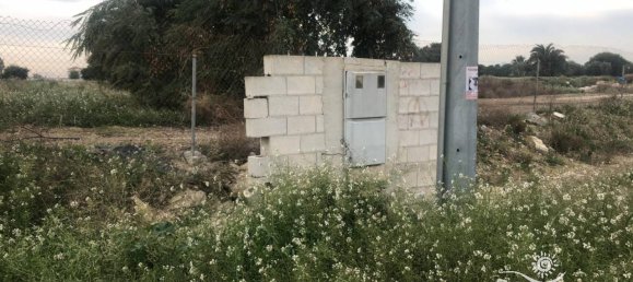 قطعة أرض في Catral, Spain رقم 94313 2