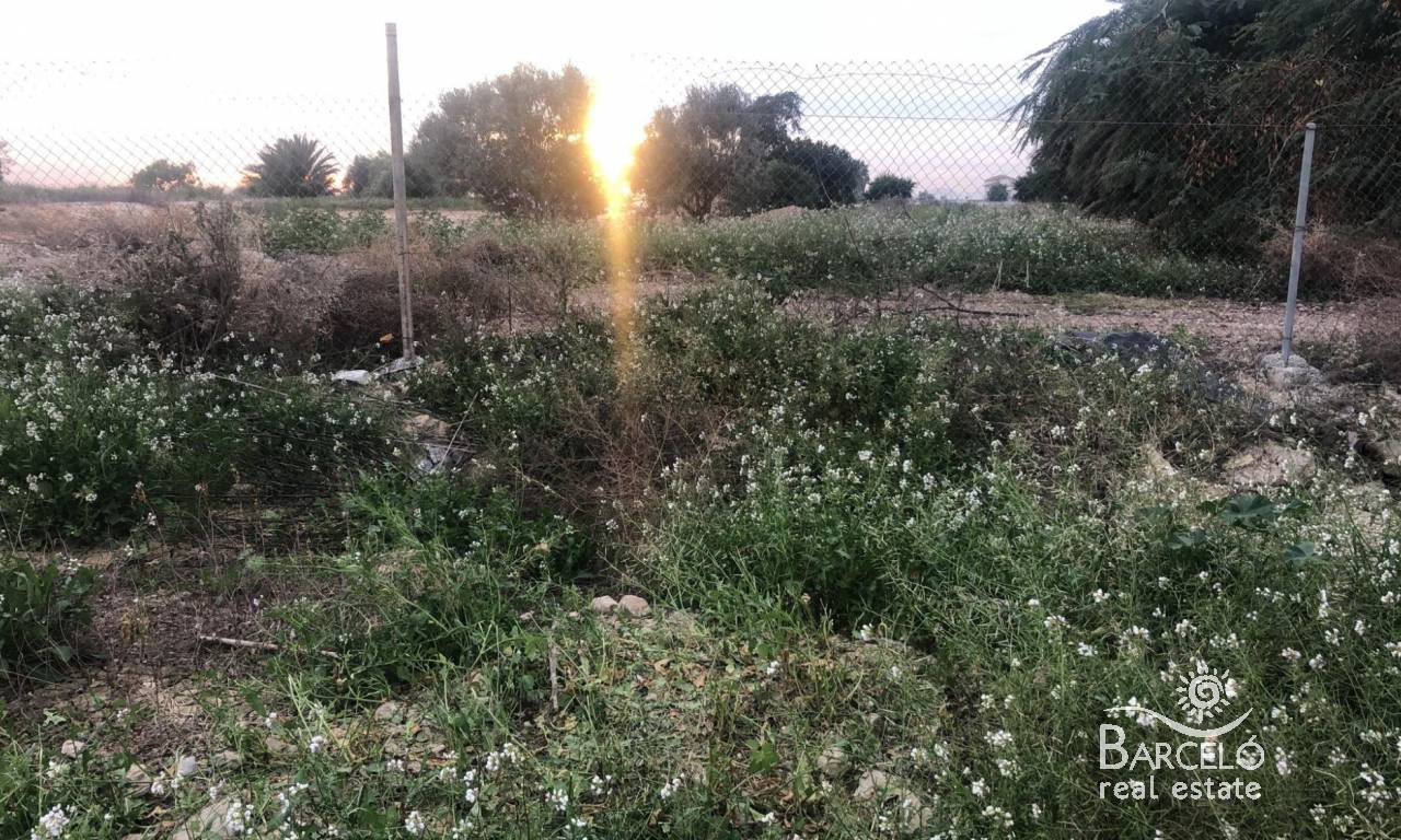  قطعة أرض في Catral, Spain رقم 94313