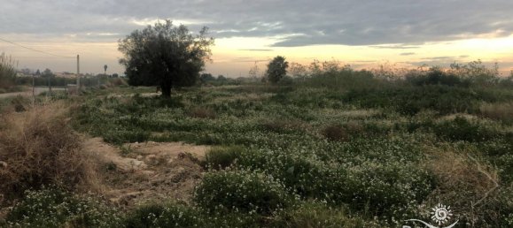 قطعة أرض في Catral, Spain رقم 94313 4