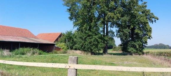 14-Zimmer Haus in Coesfeld, Germany, Nr. 206628 29