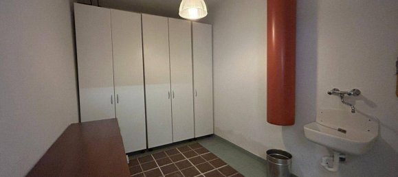 Коммерческая недвижимость 529м² в Айзенштадт, Австрия № 250908 30