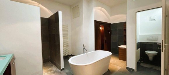 Коммерческая недвижимость 529м² в Айзенштадт, Австрия № 250908 12