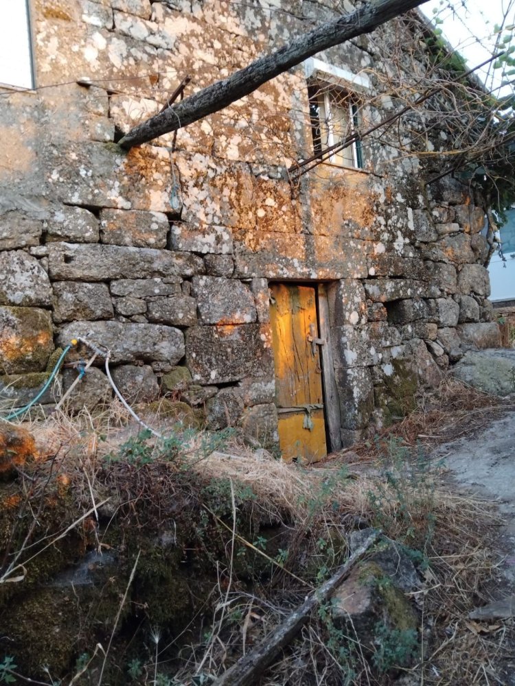 4 bedrooms House in Castro Daire, Portugal No. 341908