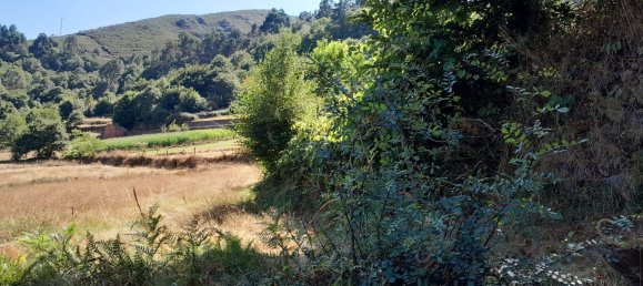 3 bedrooms House in Fiaes, Portugal No. 183625 15