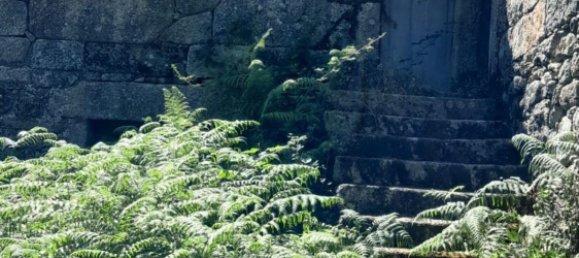 3 bedrooms House in Fiaes, Portugal No. 183625 7