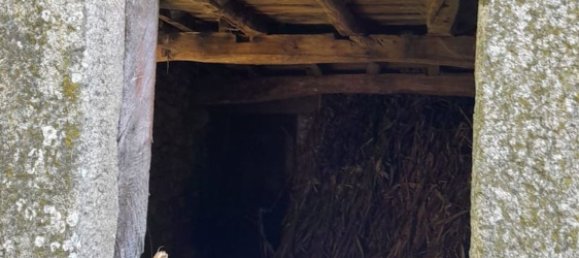 3 bedrooms House in Fiaes, Portugal No. 183625 12