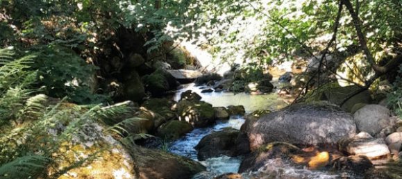 3 bedrooms House in Fiaes, Portugal No. 183625 16