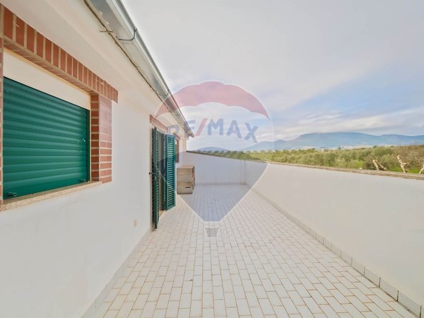 4 bedrooms House in Passos, Portugal No. 159978