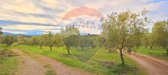 4 bedrooms House in Passos, Portugal No. 159978 14