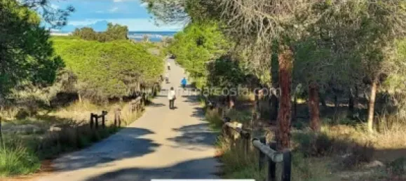 2 bedrooms House in San Fulgencio, Spain No. 93155 22