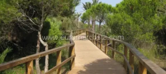 2 bedrooms House in San Fulgencio, Spain No. 93155 45