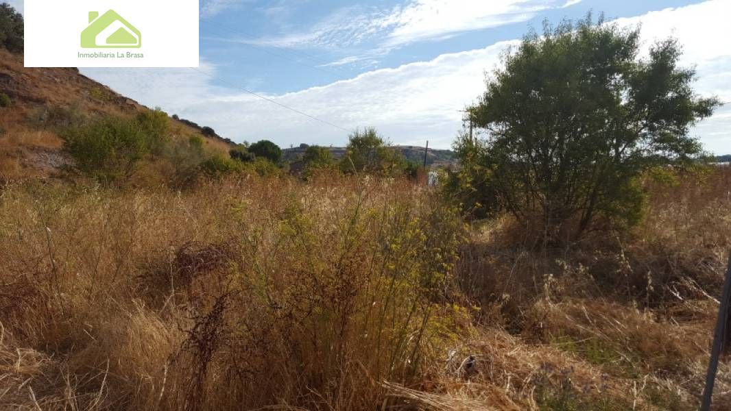 1500m² Land in Zamora, Spain No. 28626