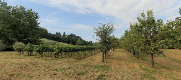 7-Zimmer Haus in Borgo San Lorenzo, Italy, Nr. 269678 35