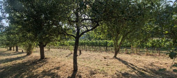 7-Zimmer Haus in Borgo San Lorenzo, Italy, Nr. 269678 36