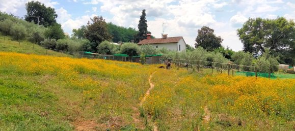 7-Zimmer Haus in Borgo San Lorenzo, Italy, Nr. 269678 32