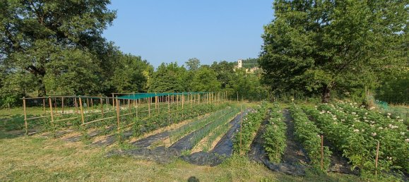 7-Zimmer Haus in Borgo San Lorenzo, Italy, Nr. 269678 29