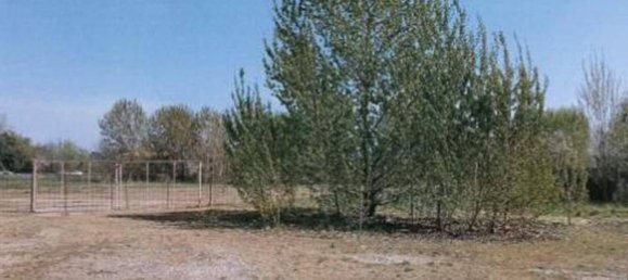 30607m² Land in Vittuone, Italy No. 364770 11