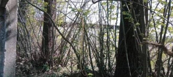 30607m² Land in Vittuone, Italy No. 364770 13