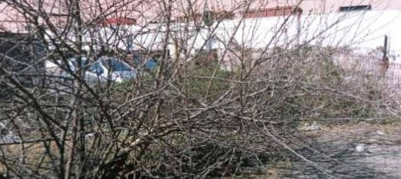 30607m² Land in Vittuone, Italy No. 364770 8