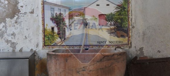 21 Schlafzimmer Haus in Portalegre, Portugal, Nr. 18253 36