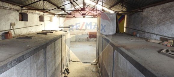 21 Schlafzimmer Haus in Portalegre, Portugal, Nr. 18253 34