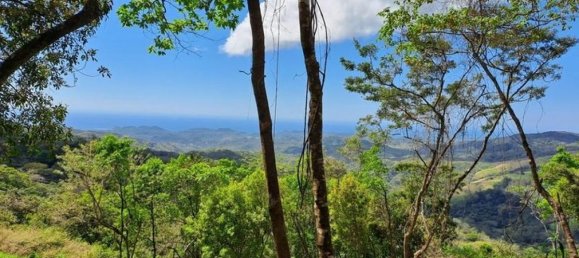  Land in Nicoya, Costa Rica No. 1943 3