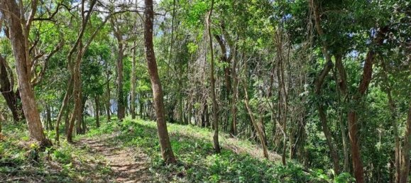  Land in Nicoya, Costa Rica No. 1943 5