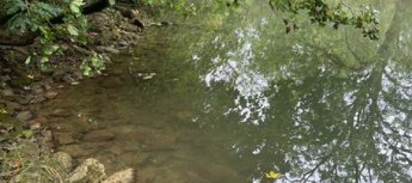 Дом с 2 спальнями в Жура, Франция № 355291 9