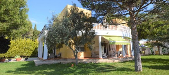 4 غرف نوم فيلا في Punta Prima, Spain رقم 1878 10