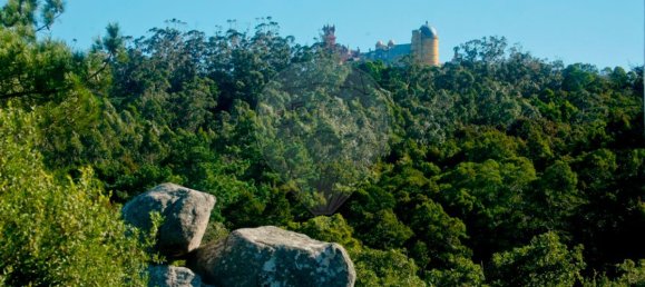 9 غرف نوم منزل في Sintra, Portugal رقم 50329 11