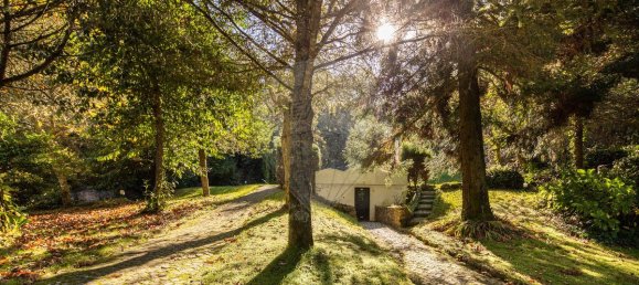 9 غرف نوم منزل في Sintra, Portugal رقم 50329 31