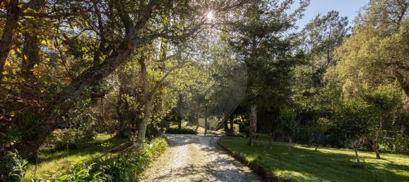 9 غرف نوم منزل في Sintra, Portugal رقم 50329 28