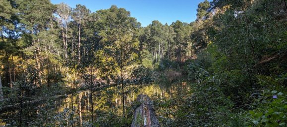 9 غرف نوم منزل في Sintra, Portugal رقم 50329 32