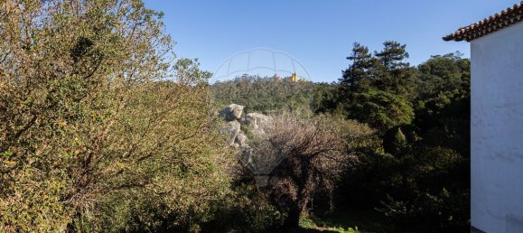 9 غرف نوم منزل في Sintra, Portugal رقم 50329 22