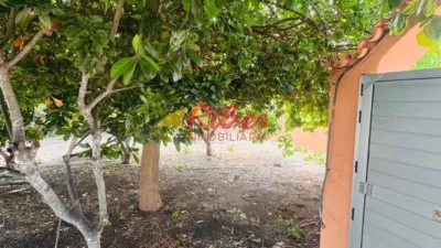 2 chambres Maison à Cullera, Spain No. 241088