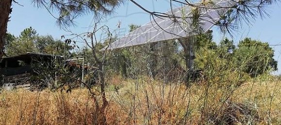 3 bedrooms House in Abrantes, Portugal No. 24996 6