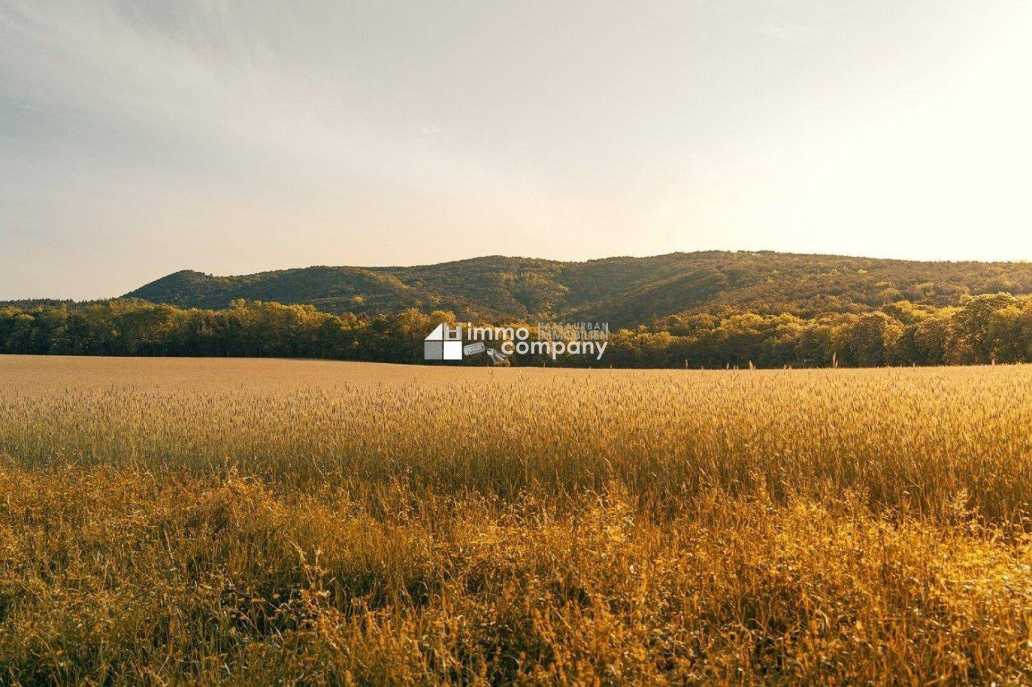 Grundstück in Hundsheim, Austria 600m², Nr. 14930