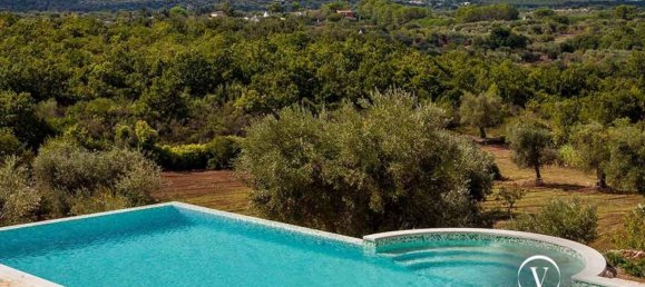 Дом с 10 комнатами в Челье Мессапика, Италия № 193760 16