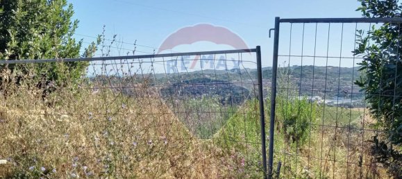 10003m² Land in Ancona, Italy No. 295048 5