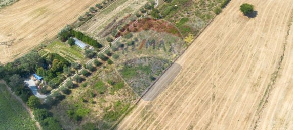 10003m² Land in Ancona, Italy No. 295048 2