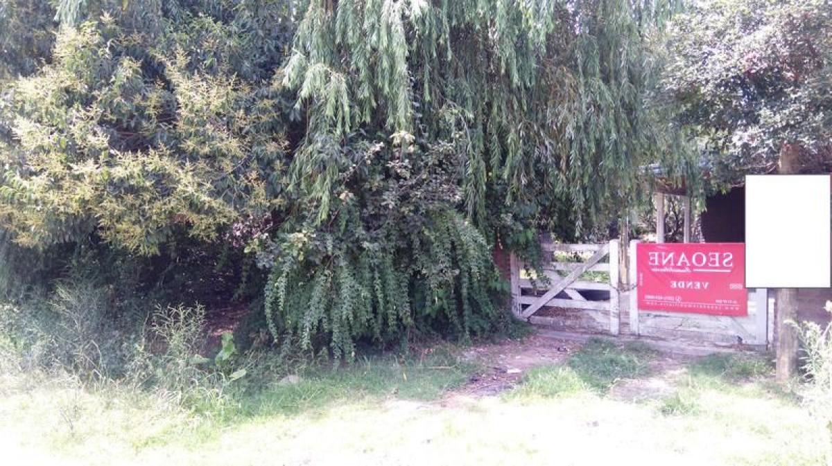 Terreno em Campo Creado, Argentina N.º 117164