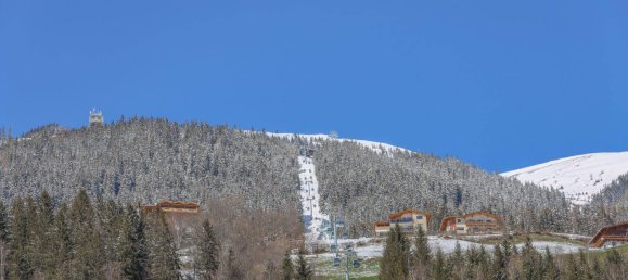 4 Schlafzimmer Wohnung in Neukirchen am Großvenediger, Austria, Nr. 28739 18