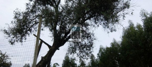  قطعة أرض في Oliveira de Azemeis, Portugal 1440متر مربع رقم 73620 9