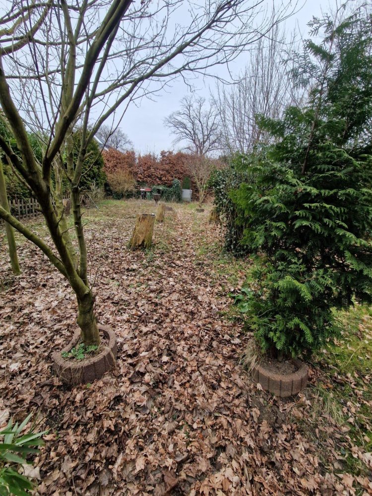 Terrain à Hamburg-Mitte, Germany No. 267438