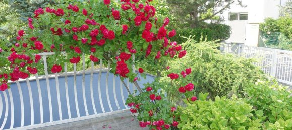 4 rooms House in Hietzing, Austria No. 150322 2