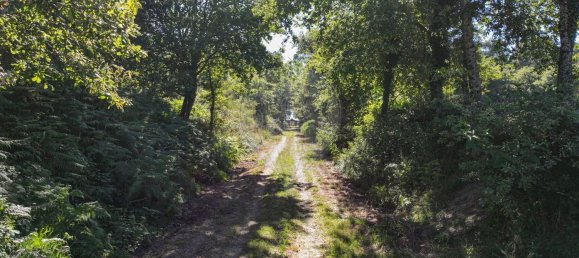 1 غرف نوم منزل في Pacos de Ferreira, Portugal رقم 45786 2