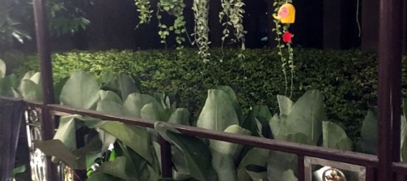 3 bedrooms Cafe / restaurant in Pattaya, Thailand No. 829 13